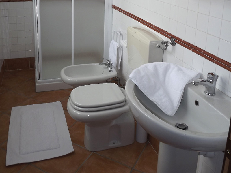 Bagno privato con doccia dell'appartamento
