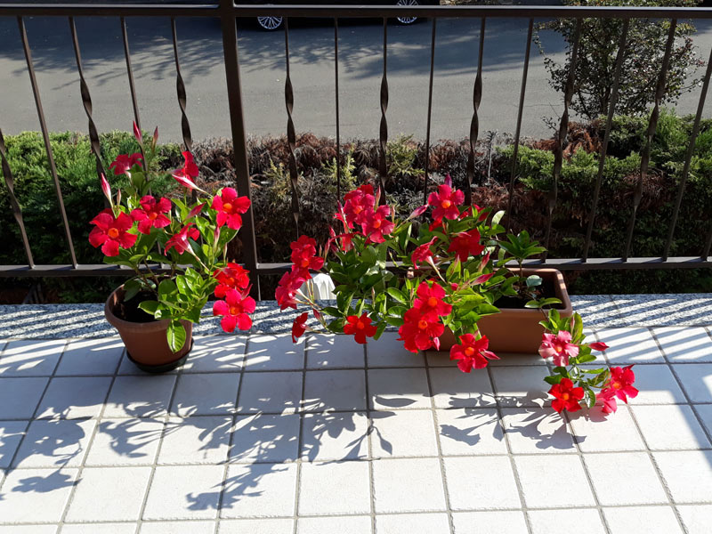 Ampio balcone privato dell'appartamento al civico 12