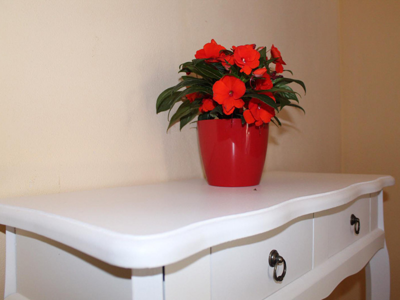 Composizione floreale e dettagli d'arredo di Casa Giardini
