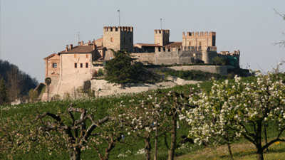 Veduta del castello sulle colline di Montesegale