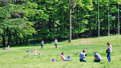 Viale alberato del parco di Salice Terme